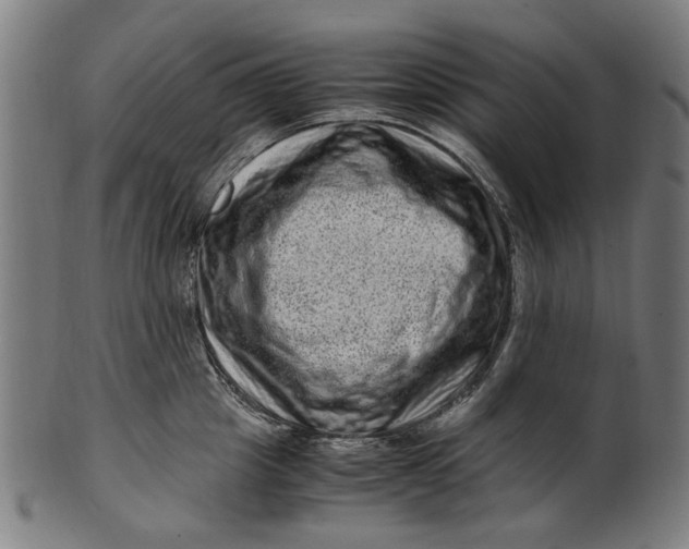 X0000100880857200807111340