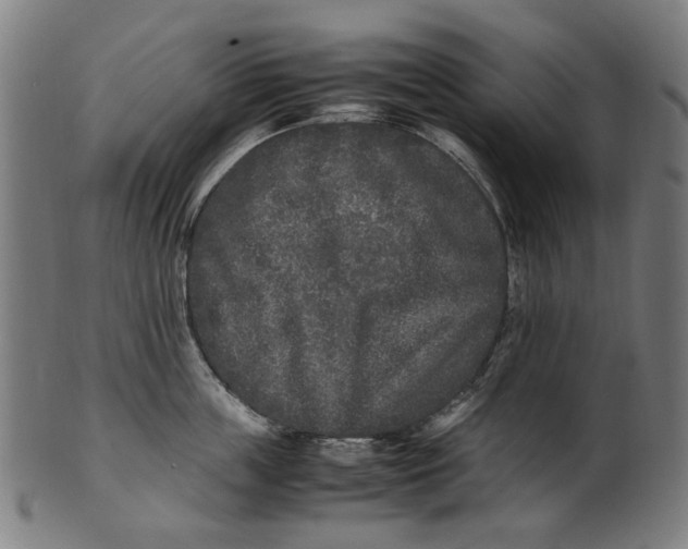 X0000100880859200807111340