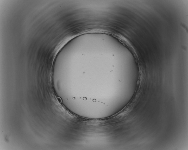 X0000100880860200807111340