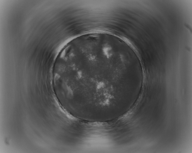 X0000100880862200807111340