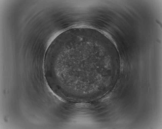 X0000100880863200807111340