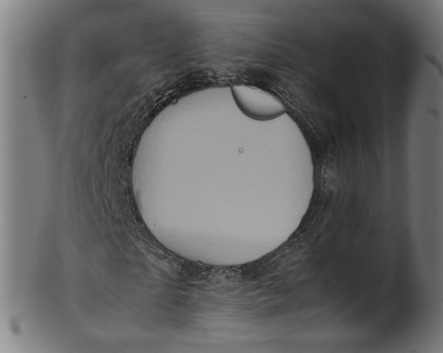 X0000100880865200807111340