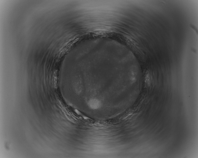 X0000100880868200807111339