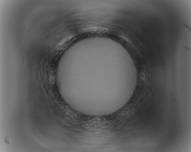 X0000100880869200807111339