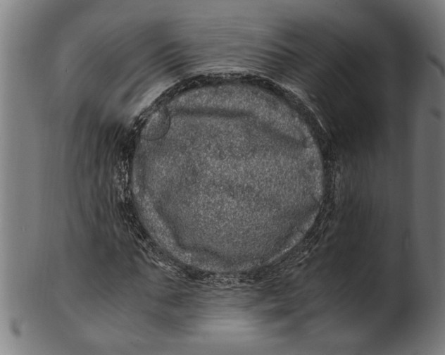 X0000100880871200807111339