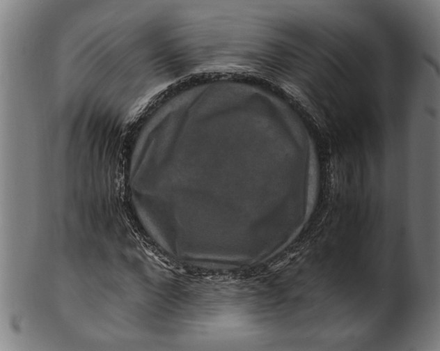 X0000100880872200807111339