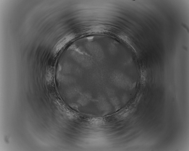 X0000100880874200807111339