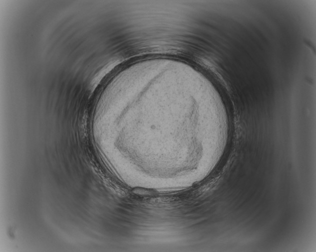 X0000100880875200807111339