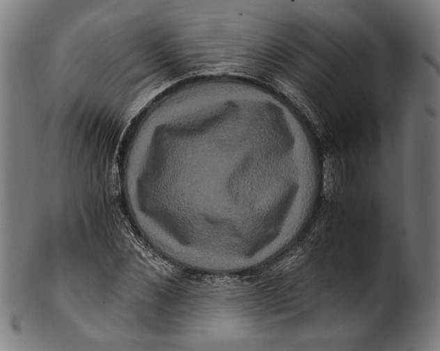 X0000100880876200807111339