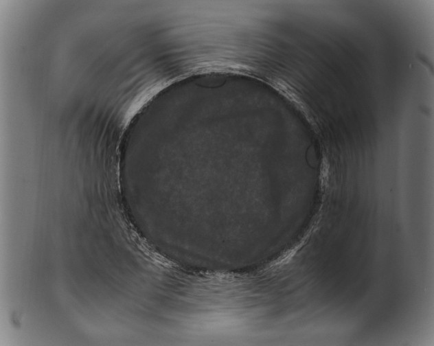 X0000100880877200807111339