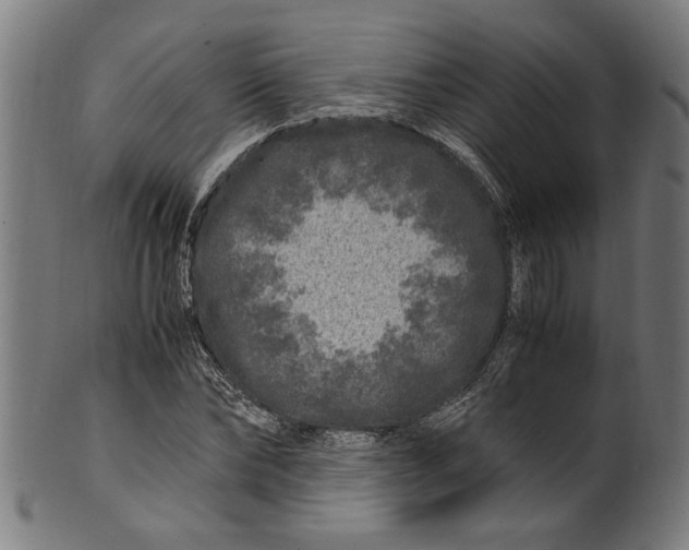 X0000100880878200807111339