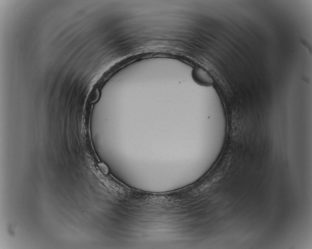 X0000100880880200807111339