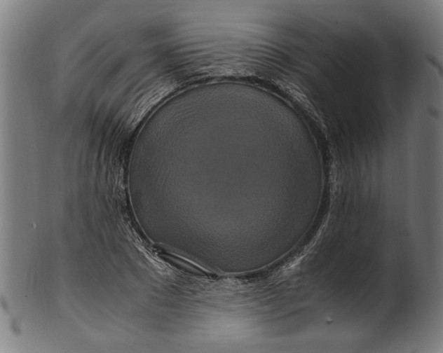 X0000100880881200807111339