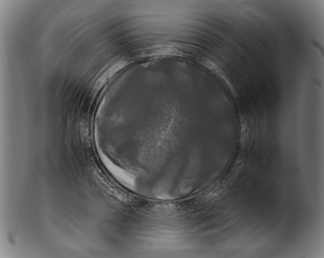 X0000100880882200807111339