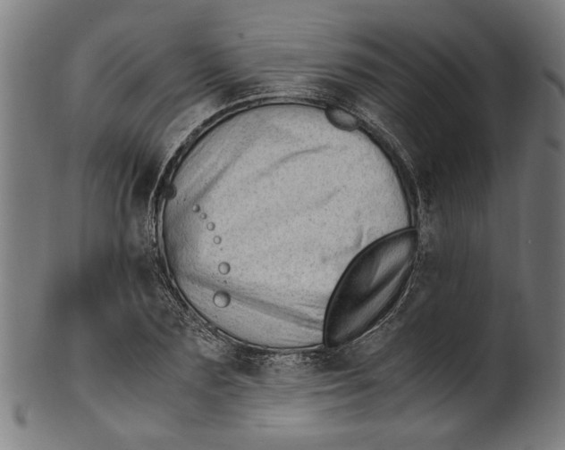 X0000100880883200807111339