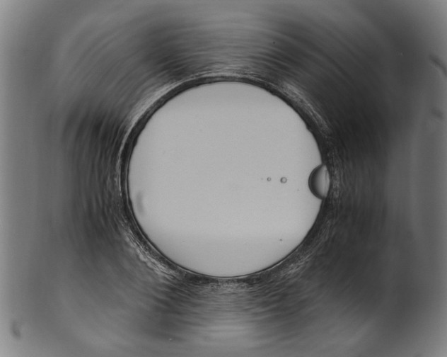 X0000100880884200807111339