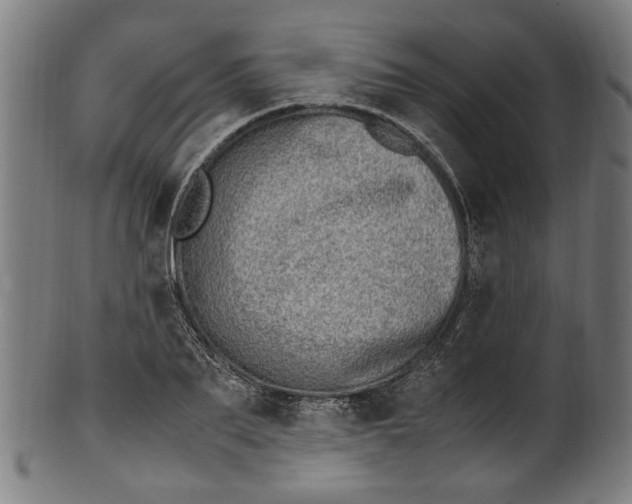 X0000100880887200807111339