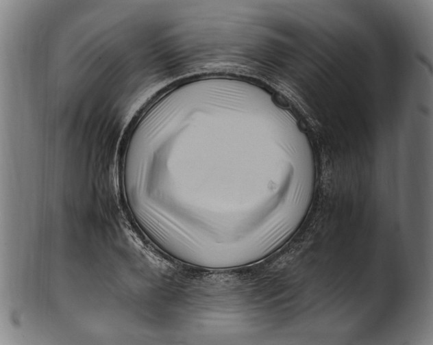 X0000100880888200807111339