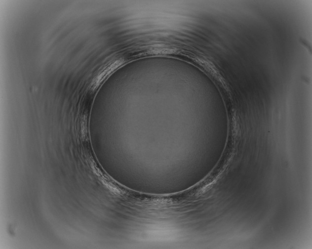 X0000100880889200807111339