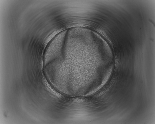 X0000100880890200807111339