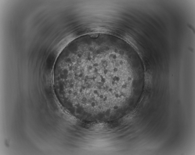 X0000100880891200807111339