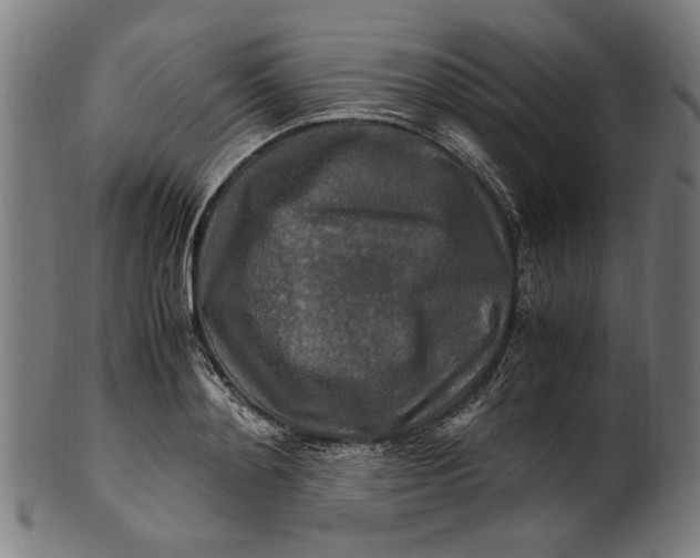 X0000100880892200807111339