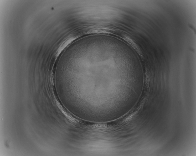 X0000100880893200807111339