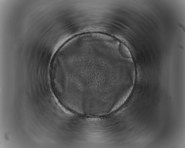 X0000100880894200807111339