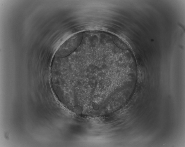 X0000100880895200807111339