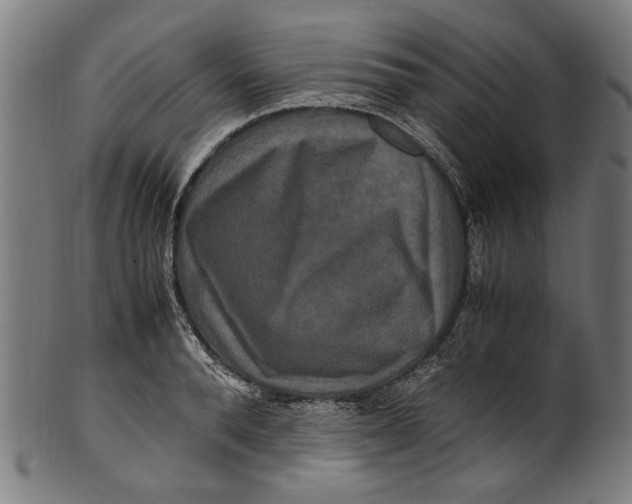 X0000100880896200807111339