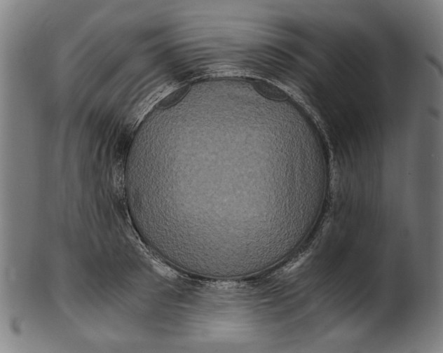 X0000100880897200807111339