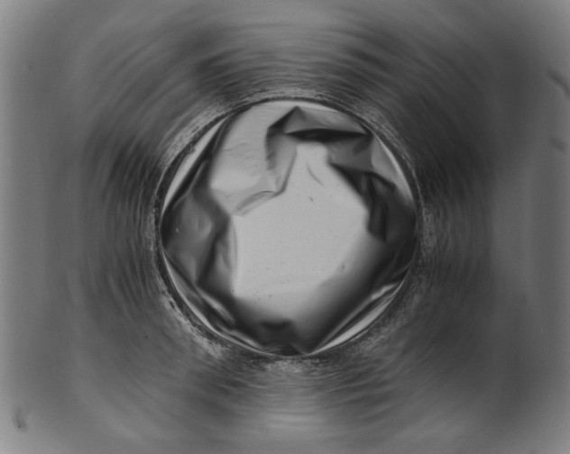 X0000100880898200807111339