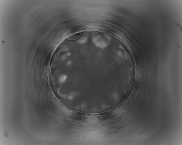 X0000100880899200807111339