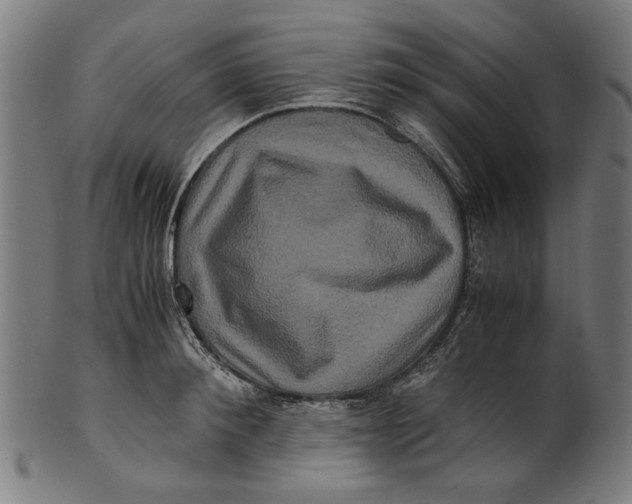 X0000100880900200807111339