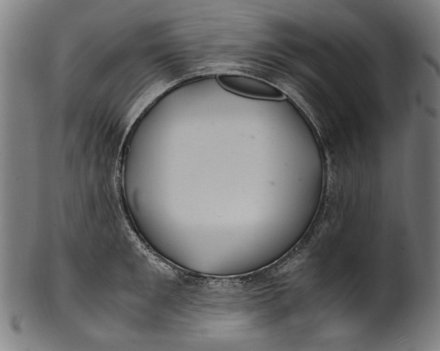 X0000100880901200807111339