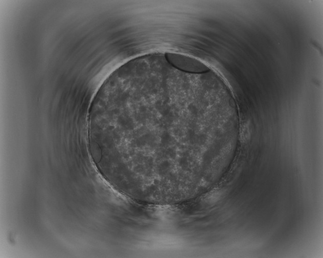 X0000100880903200807111339