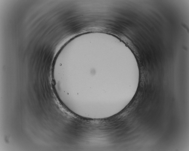 X0000100880904200807111339