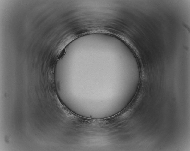 X0000100880905200807111339