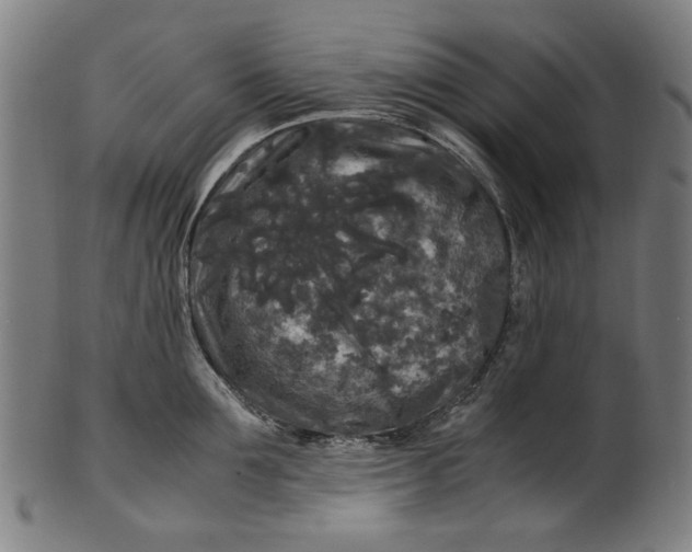 X0000100880907200807111339