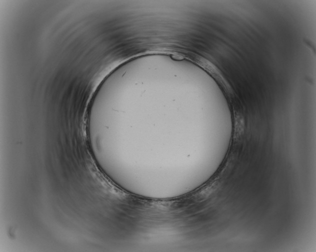 X0000100880908200807111339