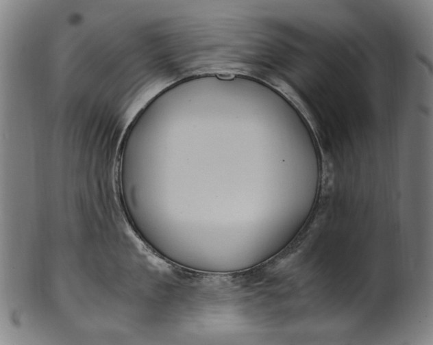 X0000100880909200807111339