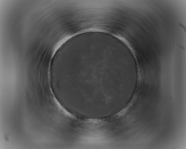 X0000100880910200807111339