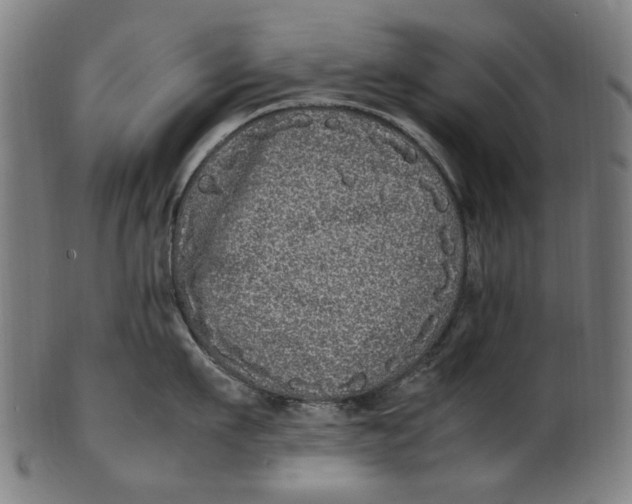 X0000100880911200807111339