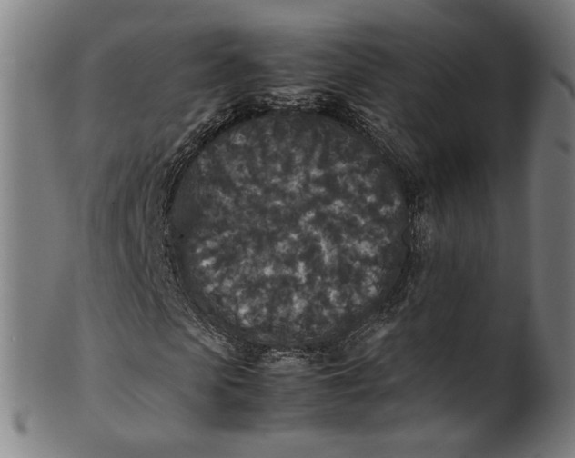 X0000100880913200807111338