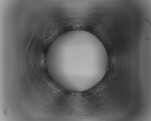 X0000100880914200807111338