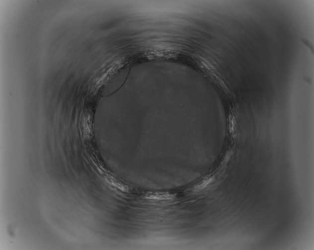 X0000100880915200807111338