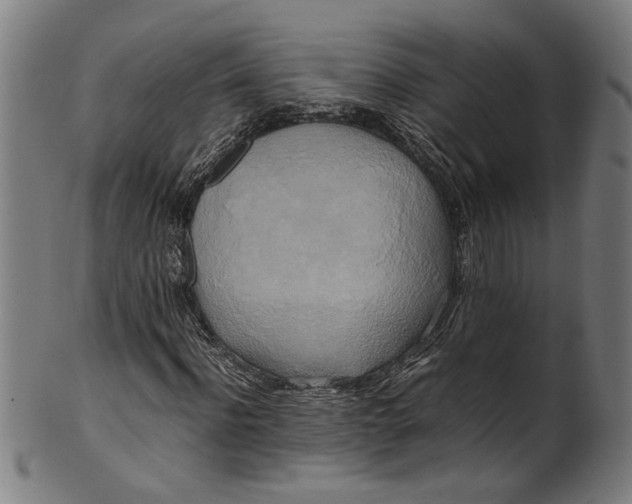 X0000100880916200807111338