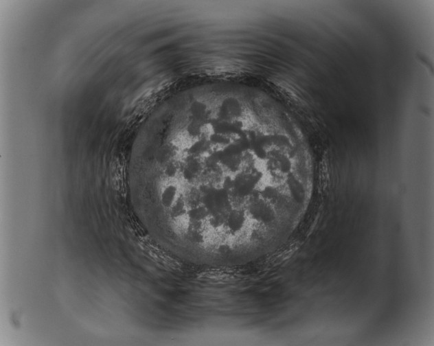 X0000100880917200807111338