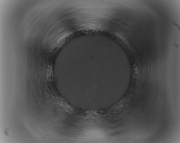 X0000100880918200807111338