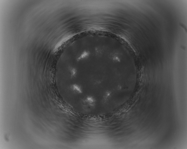 X0000100880919200807111338